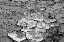  土壤重金屬污染對(duì)人體的危害