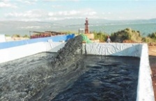  玉溪星云湖加快污染底泥疏挖，消除劣V類(lèi)水質(zhì)