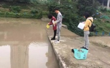  一圖一故事丨“冷酷又火熱”的雙面伊人