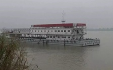  “回頭看”典型案例通報(bào)（一）丨安慶市江豚自然保護(hù)區(qū)不斷瘦身 “水中大熊貓”生境堪憂