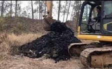  “回頭看”典型案例通報（十四）丨山東東營市20萬方危廢固廢非法填埋問題 虛假整改竟成正面典型