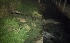  “回頭看”典型案例通報(bào)（十五）丨 湖北荊州市排污囗“一堵了之” 造成生活污水倒灌街面 群眾反映強(qiáng)烈