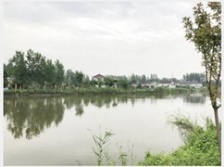  揚州農(nóng)村投放微動力污水處理設(shè)備 26個小盒子“洗”凈全村污水