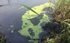  南通如皋市危險(xiǎn)廢物威脅長(zhǎng)江水質(zhì)安全