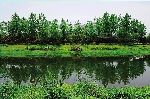  小微型水質監(jiān)測站如何選用水質自動采樣器？